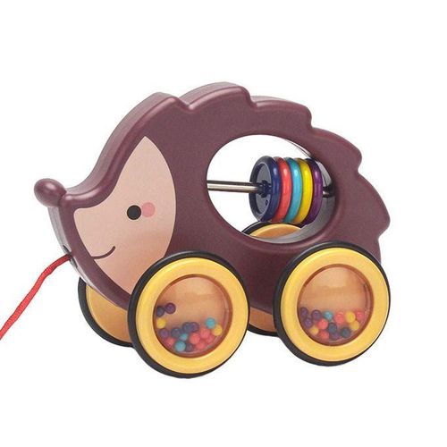 Animal Walk-A-Long Plastic Pull-Along Toy Baby Learn Walk Hedgehog