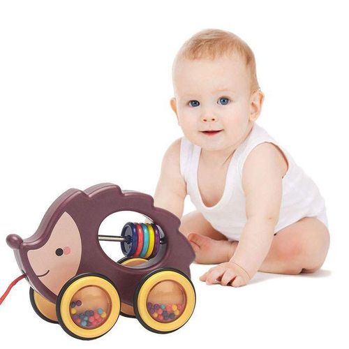 Animal Walk-A-Long Plastic Pull-Along Toy Baby Learn Walk Hedgehog