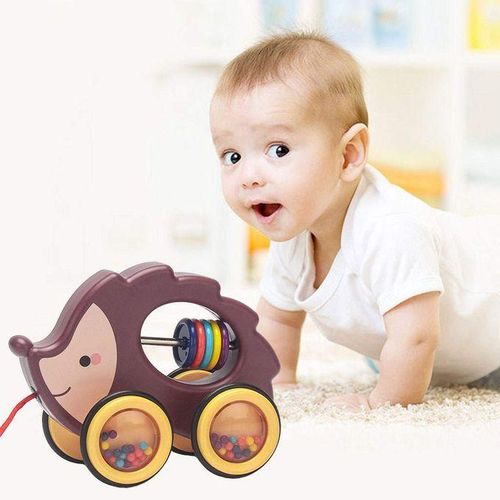 Animal Walk-A-Long Plastic Pull-Along Toy Baby Learn Walk Hedgehog
