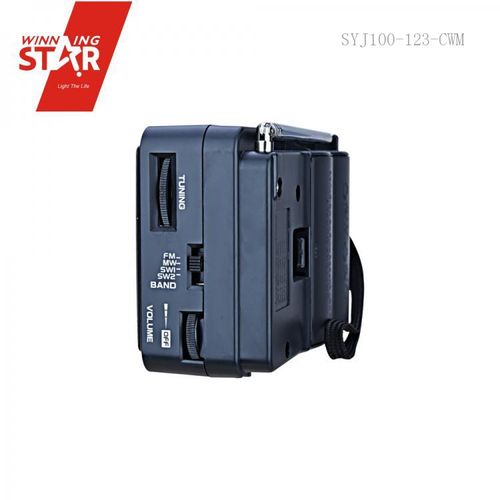 Alter Portable FM Radio With DC Input - Black