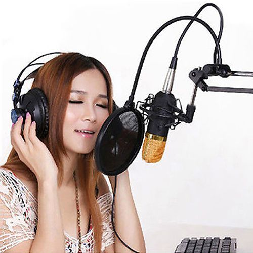BM 800 Condenser Pro Audio Microphone Sound Studio-Blue