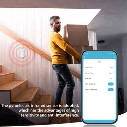 Graffiti Smart Zigbee Body Infrared Detector Smart PIR Sens
