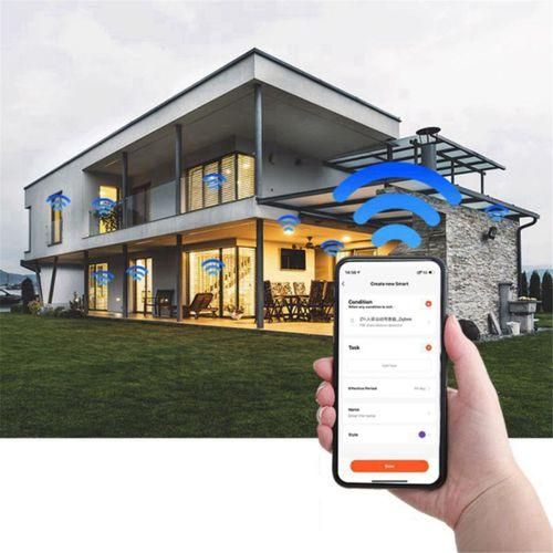 Graffiti Smart Zigbee Body Infrared Detector Smart PIR Sens