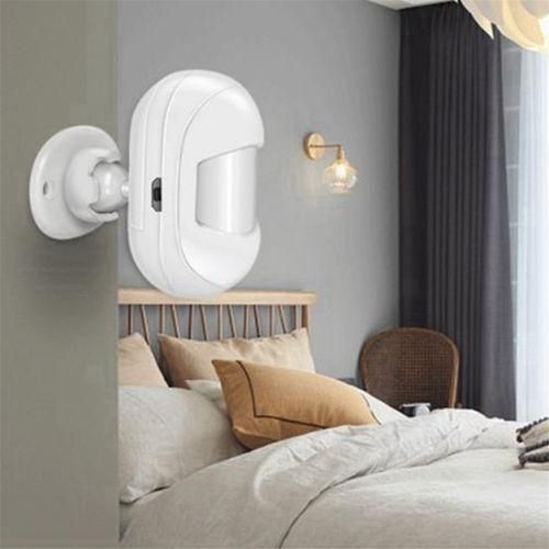 Graffiti Smart Zigbee Body Infrared Detector Smart PIR Sens