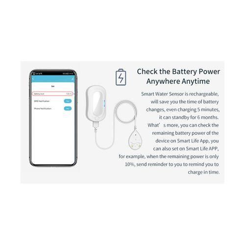 Tuya ZigBee3.0 Smart Water r Leak Detector for Alex