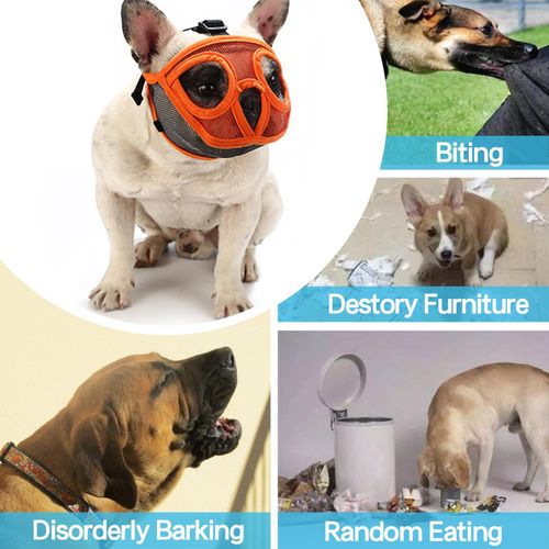 Short Snout Dog Muzzle Bulldog Muzzle Adjustable Breathable Mesh for Training Biting Barking