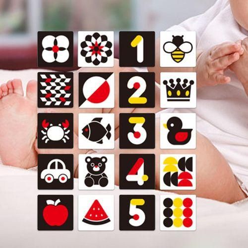 Baby Contrast Cards Development For Black And Multicolor NO5116