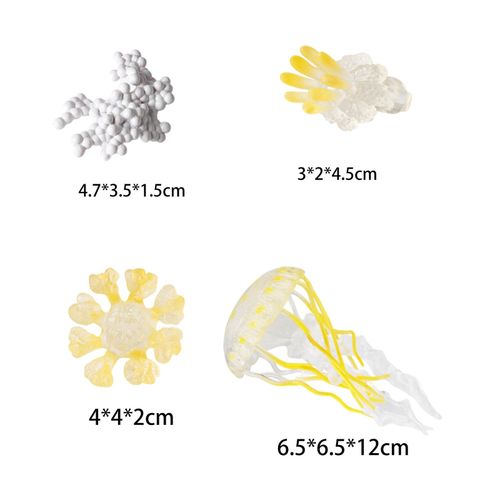 Jellyfish Growth Cycle Teaching Tools Biology Model Yellow