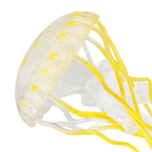 Jellyfish Growth Cycle Teaching Tools Biology Model Yellow