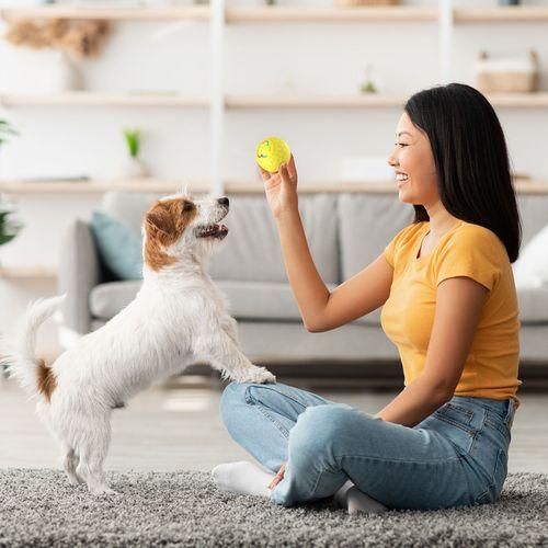 Toy Ball For Pets  Interactive Dog Toys Jolly Ball Herding