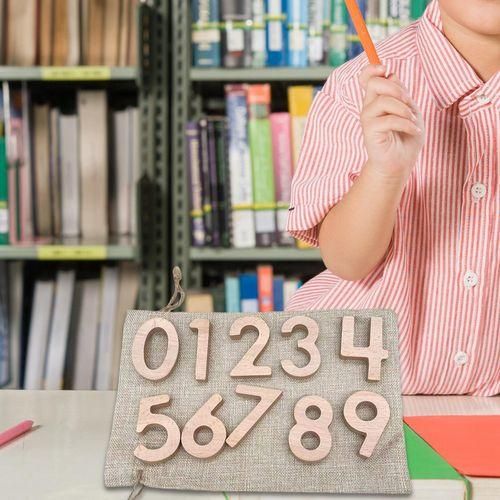 10 Pieces Building Blocks Counting For  Kids Number