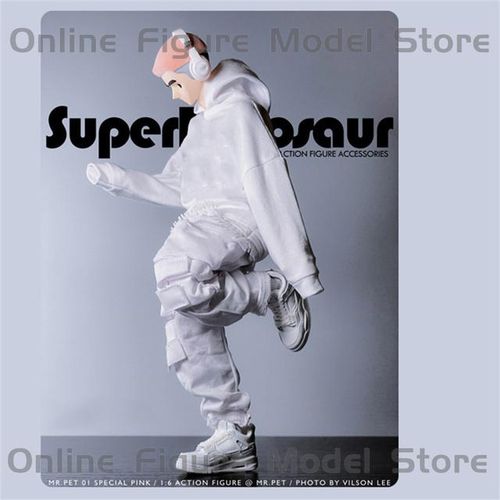 1/6 Male Fashion Street Style Loose Fitting Pullover Hooded Sweater Cargo Pants Multiple Pockets Fit 12'' Action Figure
