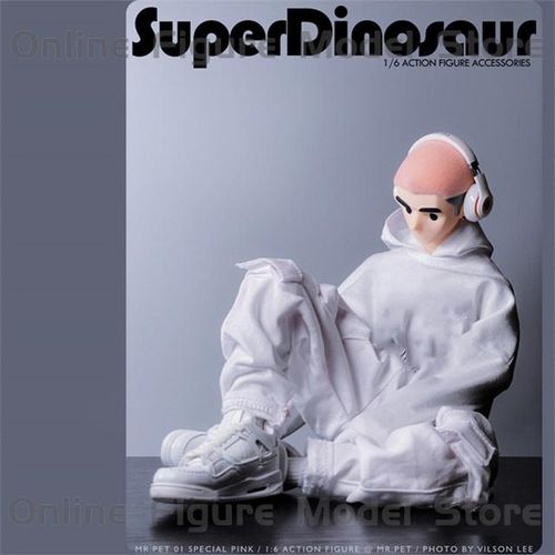 1/6 Male Fashion Street Style Loose Fitting Pullover Hooded Sweater Cargo Pants Multiple Pockets Fit 12'' Action Figure