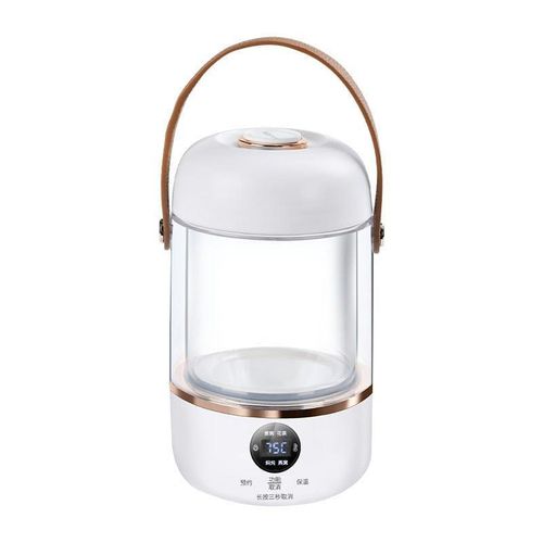 Mini Electric Stew Pot, Portable Electric Slow Cooker Multifunctional Health Preserving Electric Stew Cup for Cooking Soup Flower Tea Electric Kettle Mini Rice Cooker- Clear