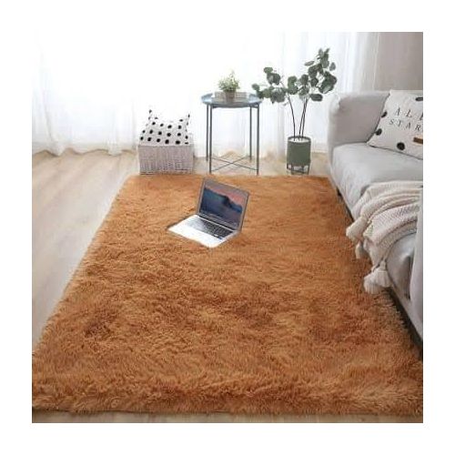 Fluffy Living Room Carpets