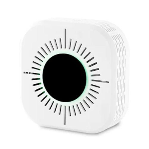 2In1 Composite Smoke Alarm Co Carbon Monoxide Detector 433Mh
