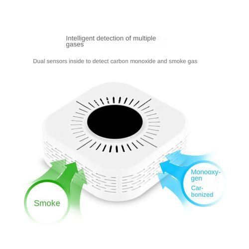 2In1 Composite Smoke Alarm Co Carbon Monoxide Detector 433Mh