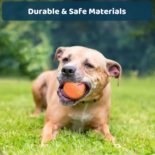 Toy Ball For Pets - Interactive Dog Toys Jolly Ball Herding