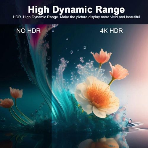 X96 Mini TV Box RK3228 Quad Core Android 10.0 4G WiFi HD 4K H. 265 HDR10 Smart Media Player 3D home theater 2GB 64GB Iptv TV NFLE