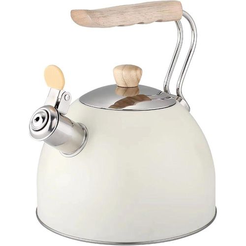2.5 Liters Stainless Steel Kettle That Whistles When Tea Is Ready With A Thick Bottom-multicolour