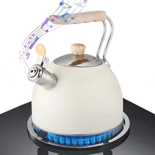 2.5 Liters Stainless Steel Kettle That Whistles When Tea Is Ready With A Thick Bottom-multicolour