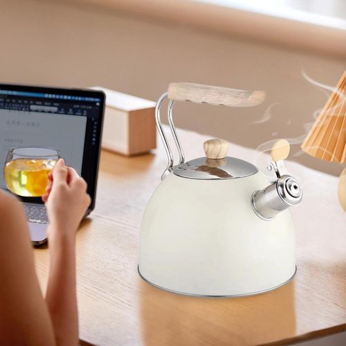 2.5 Liters Stainless Steel Kettle That Whistles When Tea Is Ready With A Thick Bottom-multicolour