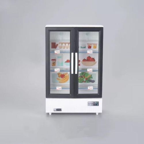 1/6 Scale BJD Doll House Scene Accessories Mini Refrigerator Freezer Model Suitable For 12 Doll Inch Display Diy Toys