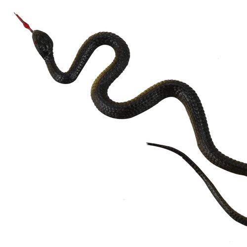 Rubber Snake Pretend Trick Toy Garden