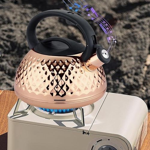 Non Electric Stainless Steel Whistling Kettle Of 3 Liters With Handle Makes Noise When Tea Is Ready-Multicoour