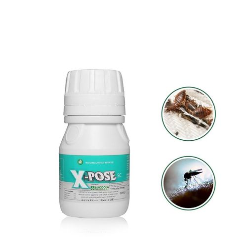Xpose One Time Bedbugs-Cockroaches Killer-50ml