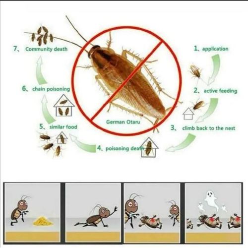 Cockroach Killing Bait Powder With Instant Killing Results Even For Stubborn Cockroaches-Multicolour