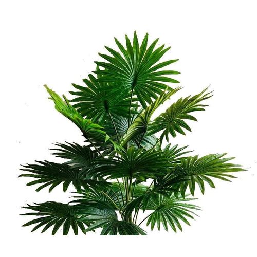 lastic Artificial Palm Tree Plant Real Touch Plant Green