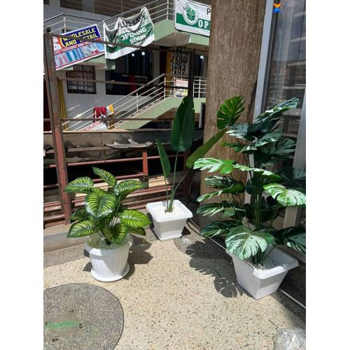 Artificial Plants in Pot