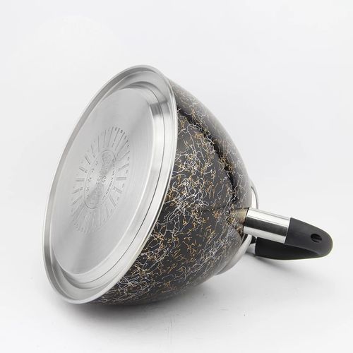 3 Litres Whistling Tea Boiling Kettle - Black