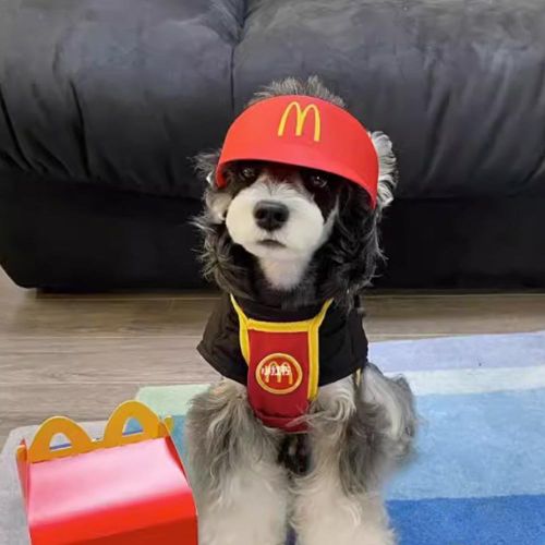 McDonald's Peripherals Props Set Decorative Mini Sun Hat and Microphone Happy Meal Toys for Cat Kitten Dog Dress-up NO5245