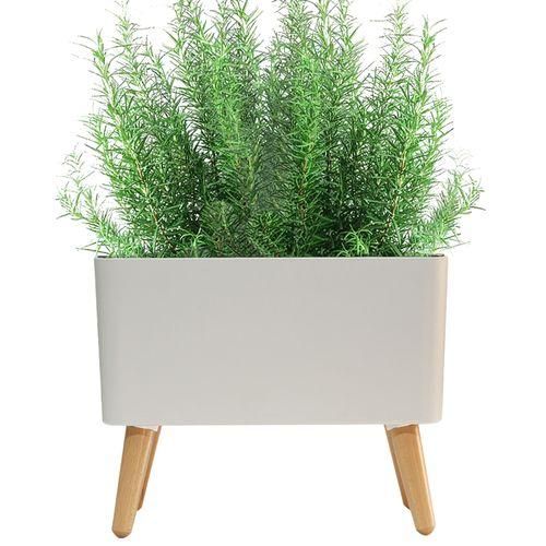 Smart Plant Pots Indoor With Automatic Water Shortage Alarm