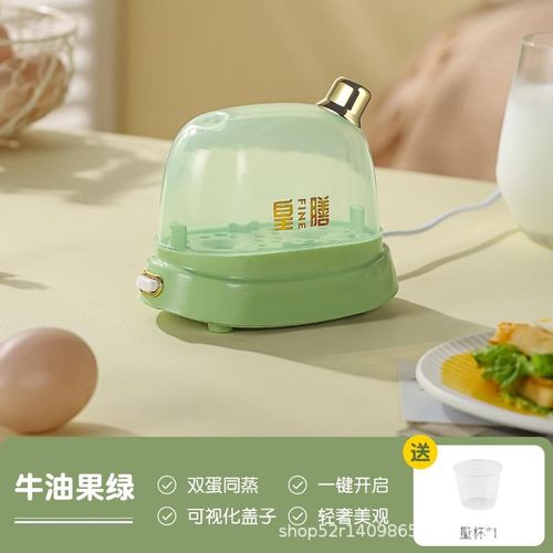 Electric Mini Egg Boiler Mini Egg Cooker Automatic 2 Eggs