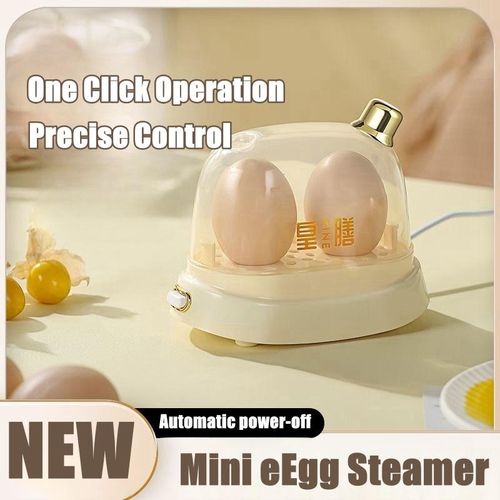 Electric Mini Egg Boiler Mini Egg Cooker Automatic 2 Eggs