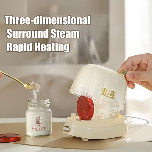 Electric Mini Egg Boiler Mini Egg Cooker Automatic 2 Eggs