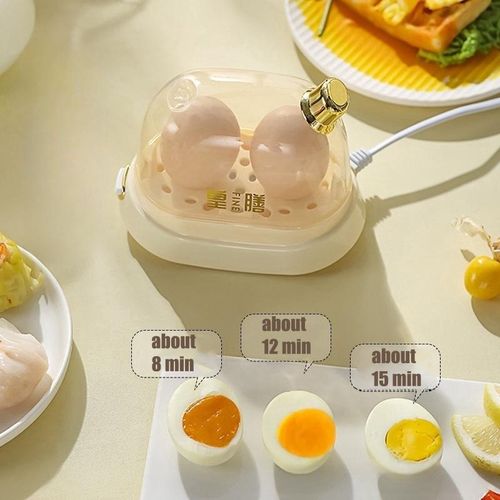 Electric Mini Egg Boiler Mini Egg Cooker Automatic 2 Eggs