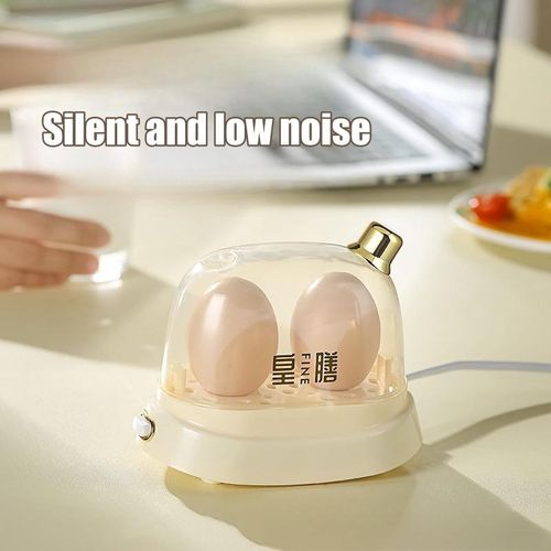 Electric Mini Egg Boiler Mini Egg Cooker Automatic 2 Eggs