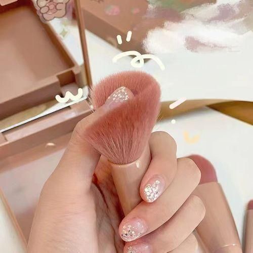 5 In 1 Makeup Brush Set With Mirror Blush Powder Brush Travel Kit Portable
