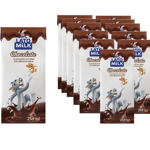 Lato Milk Pack of 12 Chocolate Flavored milk - 250ml