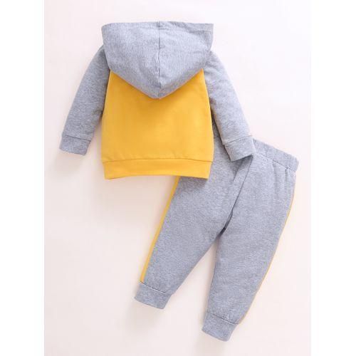 Baby Boys Cartoon Tiger Face Long Sleeves Hoodie With Pants Grey