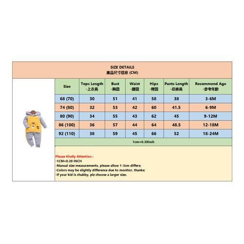 Baby Boys Cartoon Tiger Face Long Sleeves Hoodie With Pants Grey